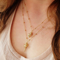 Salacia Gold Seashell Necklace